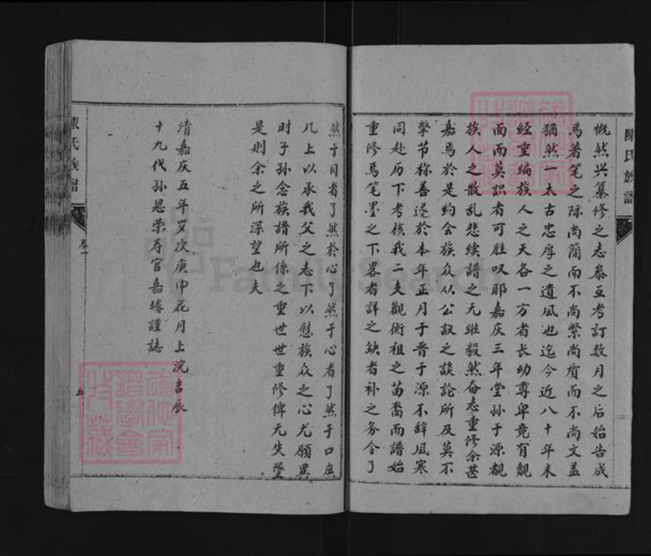 山东省泰安市东平县陈氏族谱-东原陈氏世系谱.pdf电子版插图5