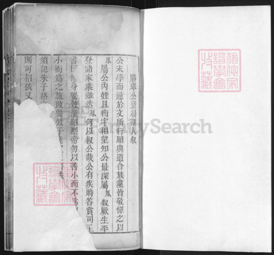 湖北省黄冈市罗田县平湖乡陈氏族谱-义门陈氏宗谱.pdf电子版插图1