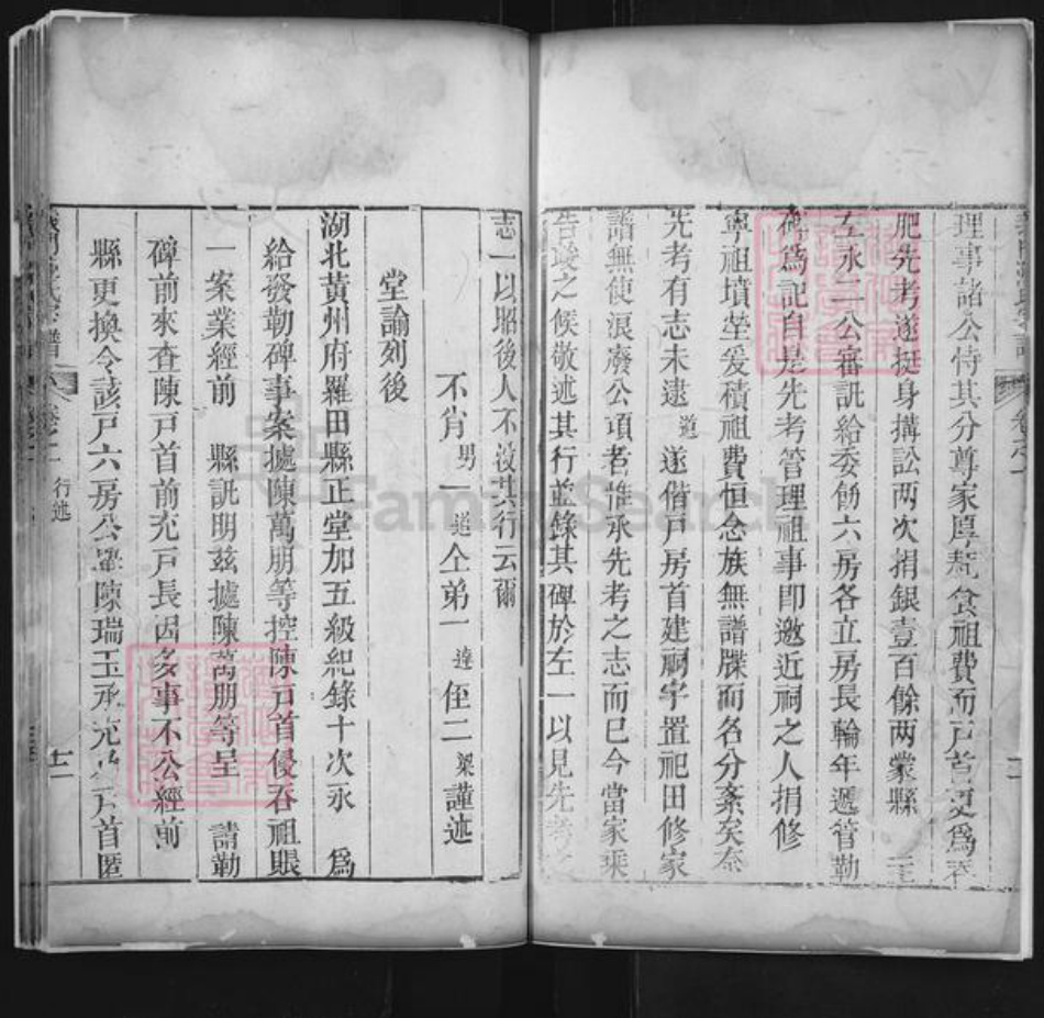 湖北省黄冈市罗田县平湖乡陈氏族谱-义门陈氏宗谱.pdf电子版插图5