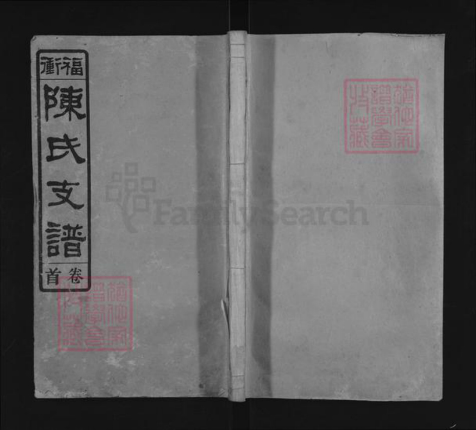 湖南省长沙市浏阳市大瑶镇陈氏颍川堂族谱-福冲陈氏支谱.pdf电子版插图