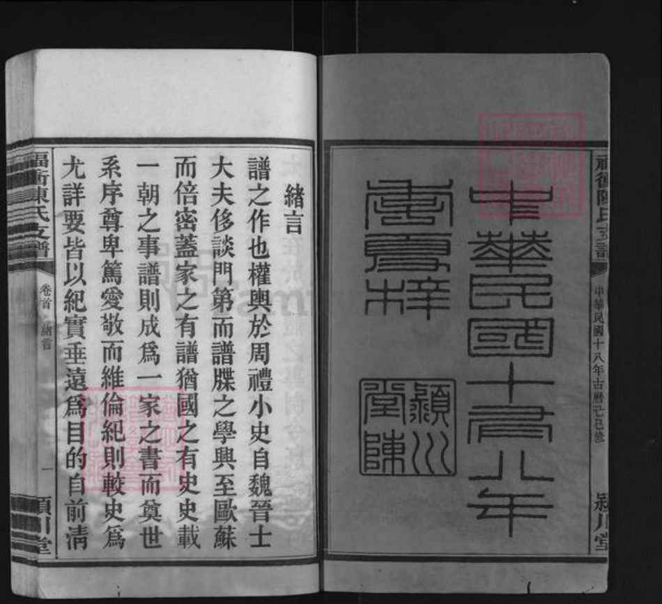 湖南省长沙市浏阳市大瑶镇陈氏颍川堂族谱-福冲陈氏支谱.pdf电子版插图1