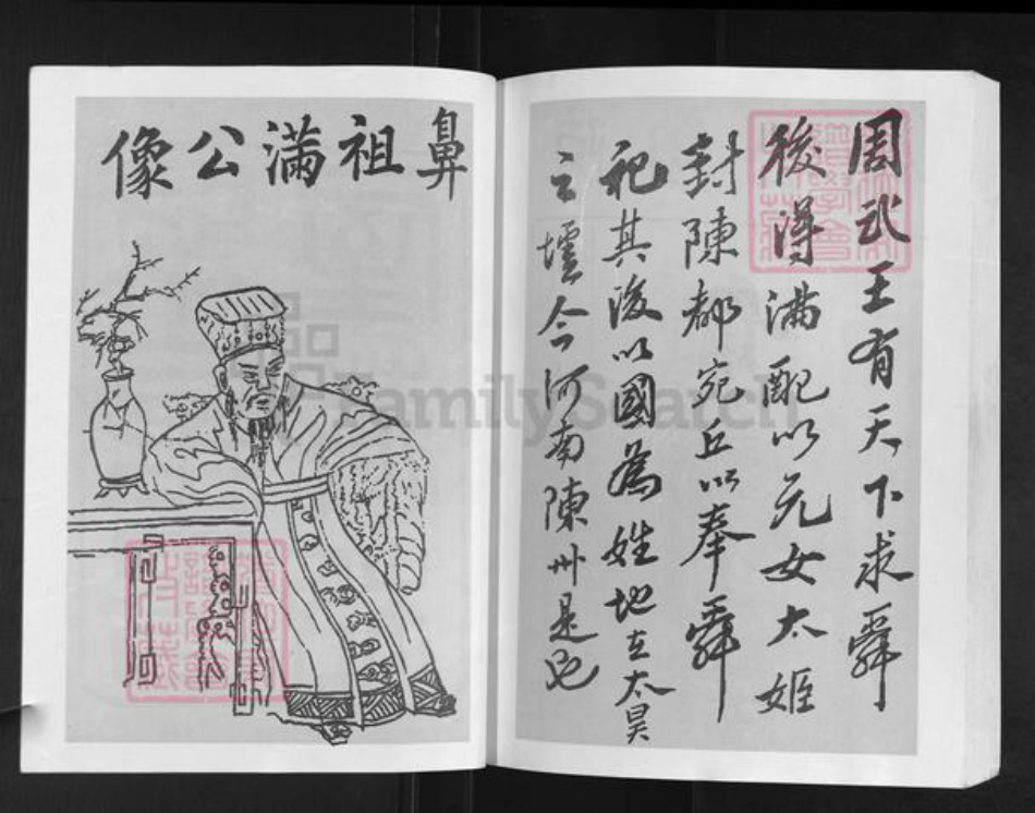 湖北省孝感市汉川市陈氏族谱-陈氏宗谱元部续编.pdf电子版插图3