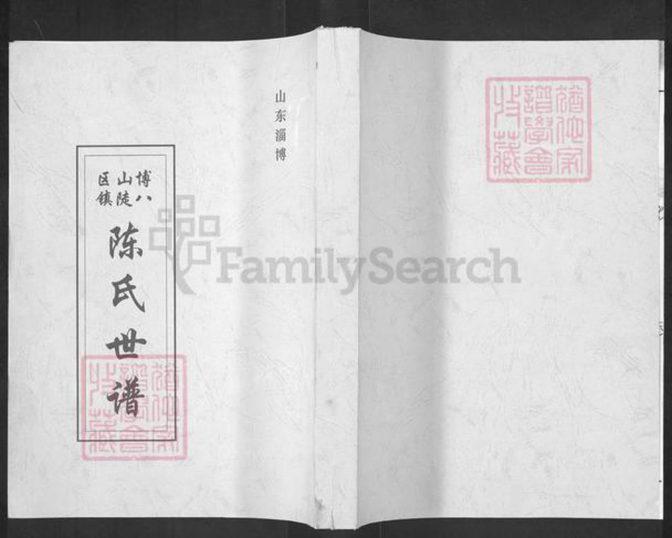 山东省淄博市博山区陈氏族谱-博山区八陡镇陈氏世谱.pdf电子版插图