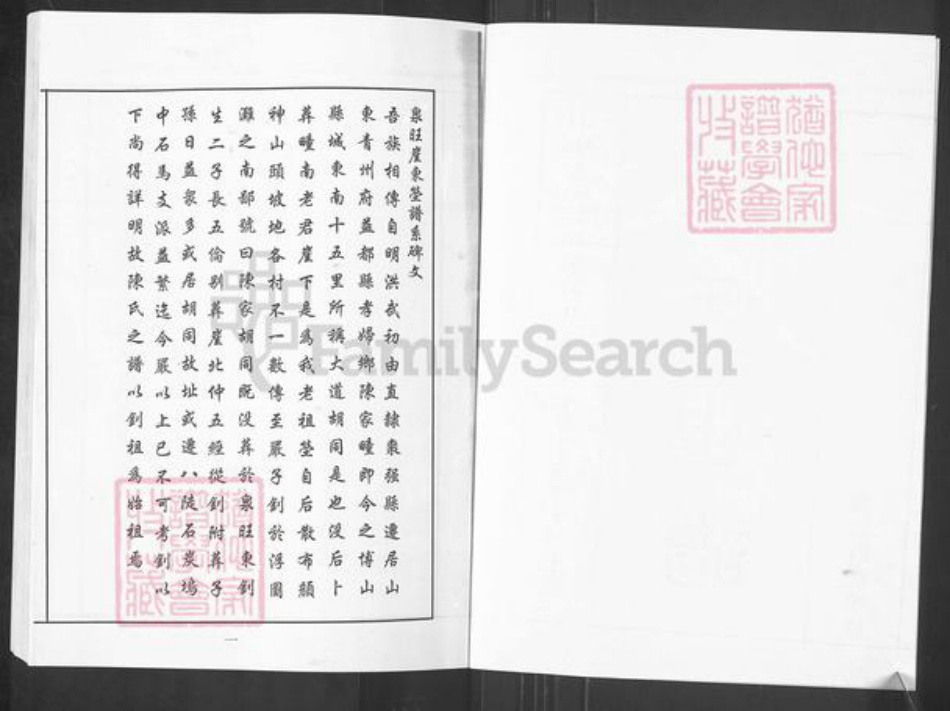 山东省淄博市博山区陈氏族谱-博山区八陡镇陈氏世谱.pdf电子版插图2