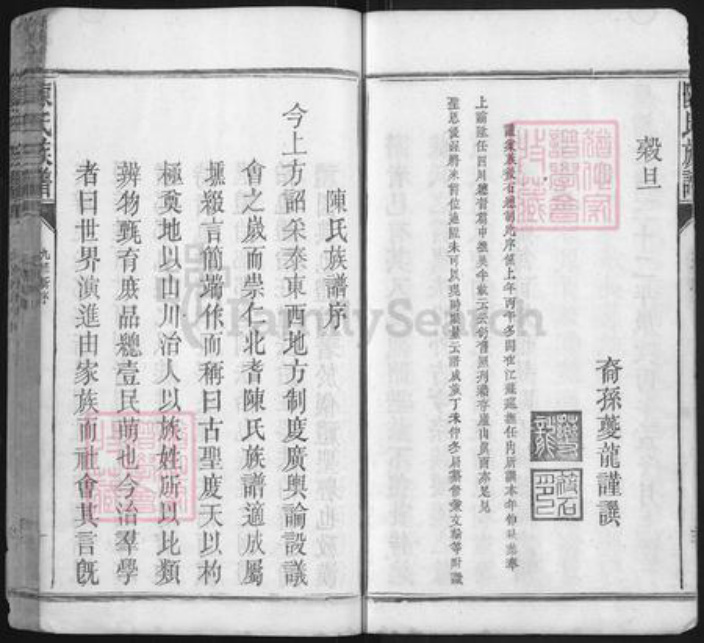 江西省抚州市崇仁县陈氏族谱-陈氏族谱.pdf电子版插图4 江西省抚州市崇仁县陈氏族谱-陈氏族谱.pdf电子版插图4