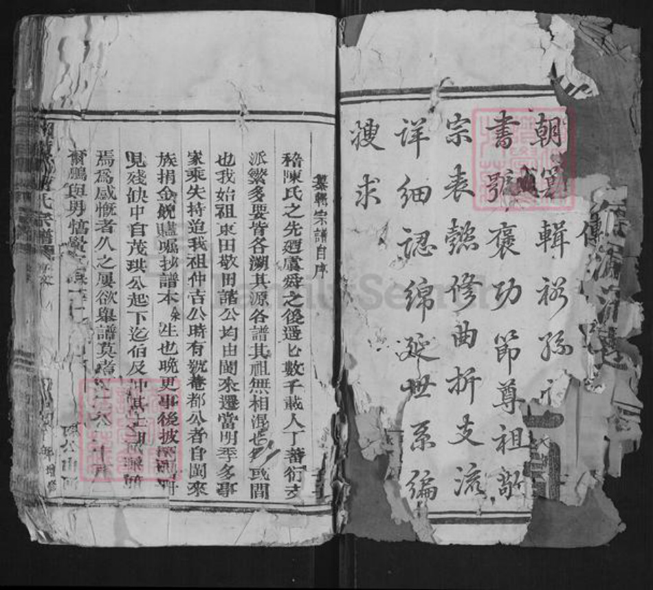 浙江省温州市苍南县藻溪镇陈氏族谱-颖川陈氏宗谱.pdf电子版插图2