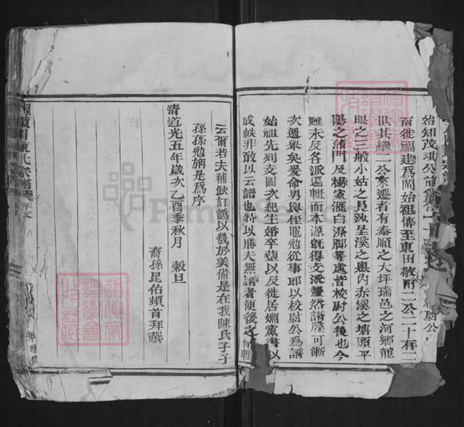 浙江省温州市苍南县藻溪镇陈氏族谱-颖川陈氏宗谱.pdf电子版插图3