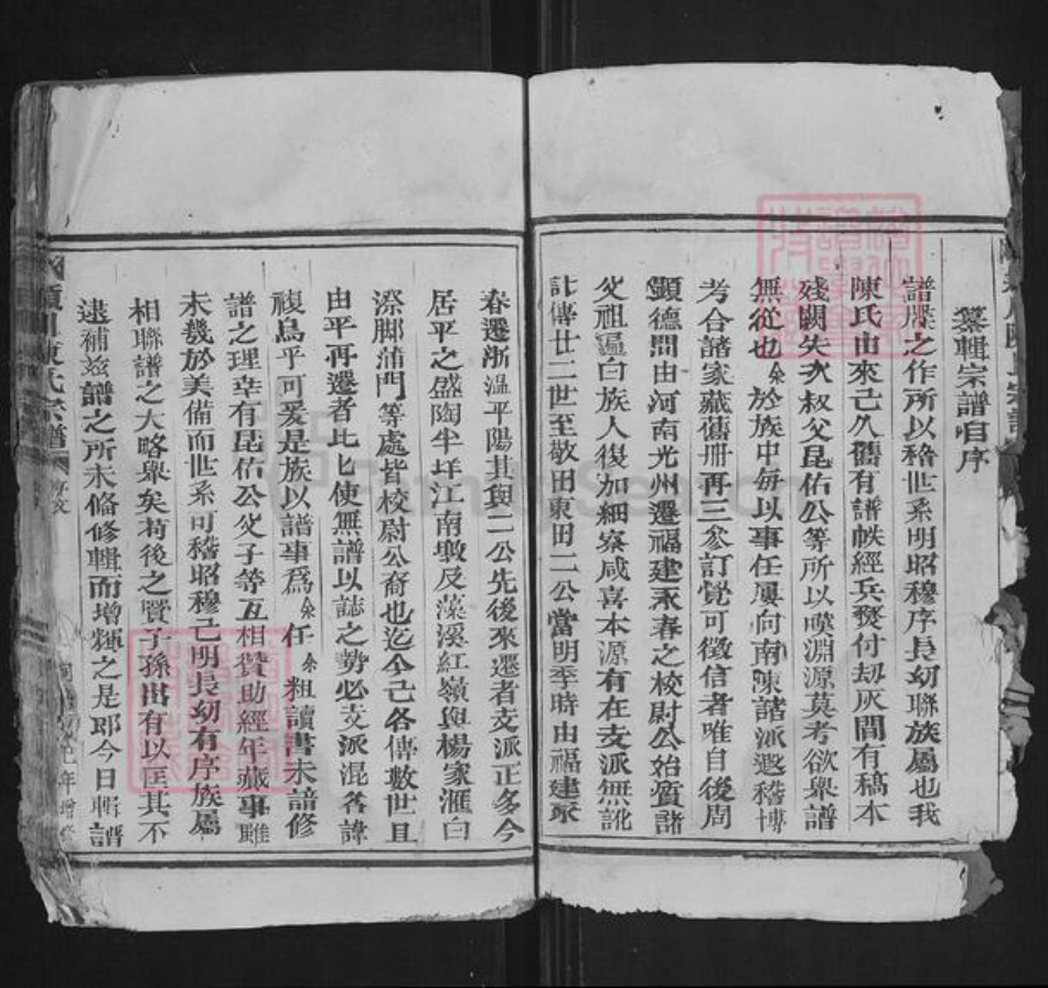 浙江省温州市苍南县藻溪镇陈氏族谱-颖川陈氏宗谱.pdf电子版插图4