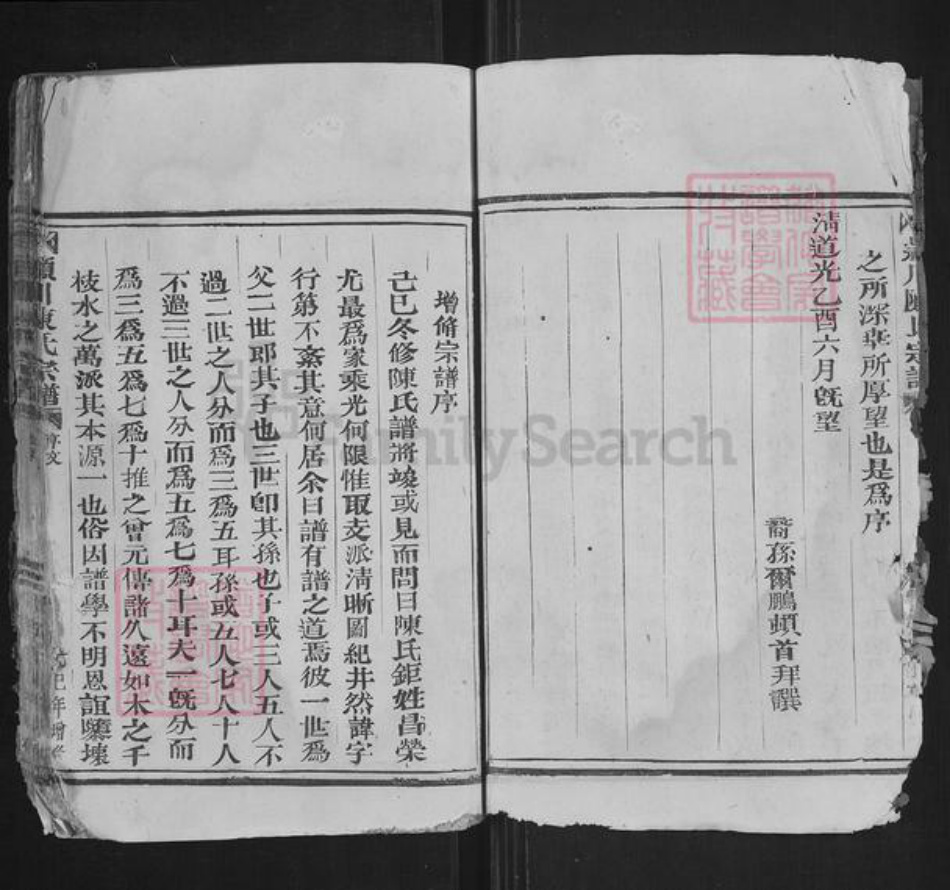 浙江省温州市苍南县藻溪镇陈氏族谱-颖川陈氏宗谱.pdf电子版插图5