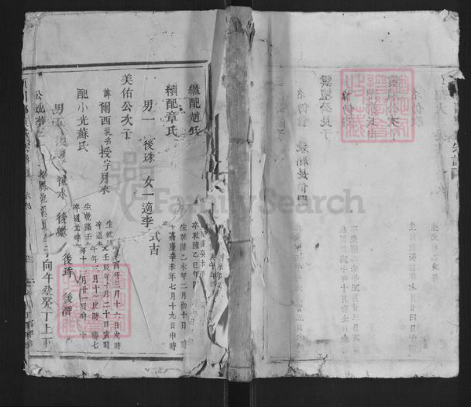 浙江省温州市平阳县陈氏族谱-颍川郡陈氏宗谱.pdf电子版插图