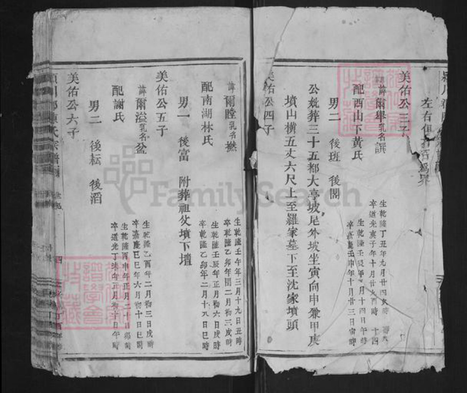 浙江省温州市平阳县陈氏族谱-颍川郡陈氏宗谱.pdf电子版插图2