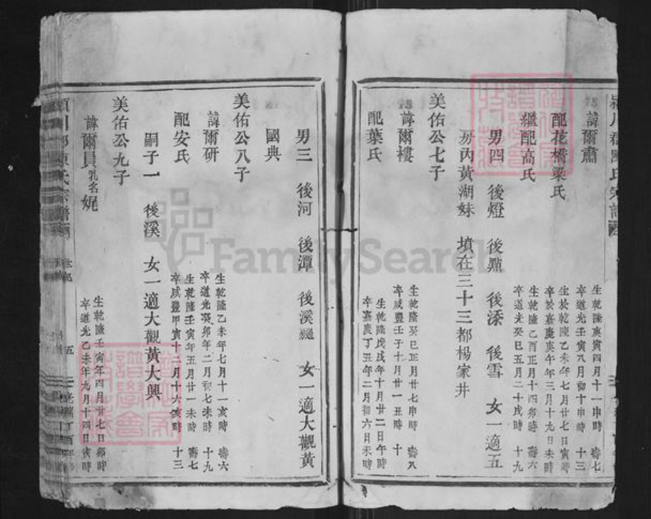 浙江省温州市平阳县陈氏族谱-颍川郡陈氏宗谱.pdf电子版插图3