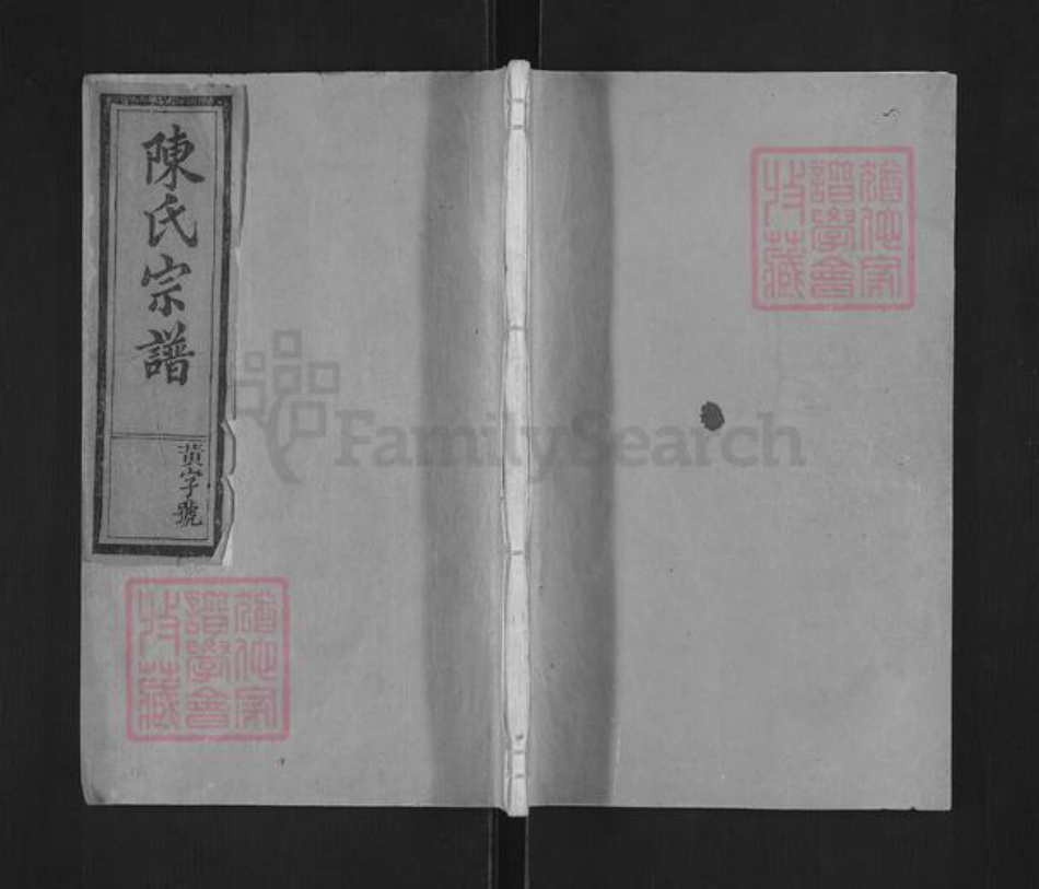 福建省泉州市永春县蓬壶镇陈氏聚奎堂族谱-陈氏宗谱.pdf电子版插图