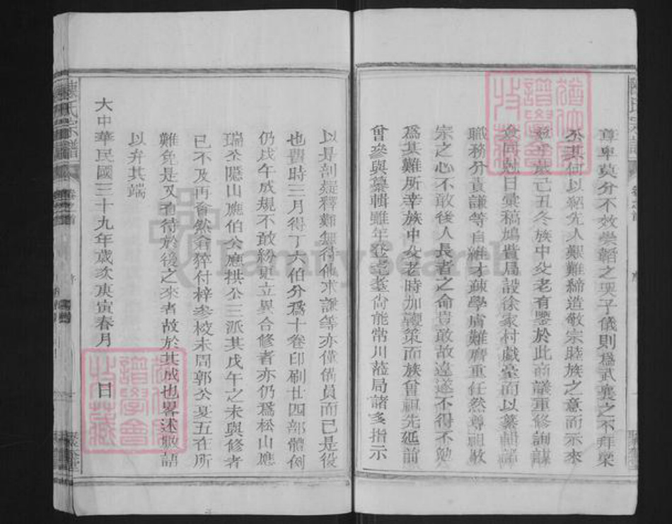 福建省泉州市永春县蓬壶镇陈氏聚奎堂族谱-陈氏宗谱.pdf电子版插图4