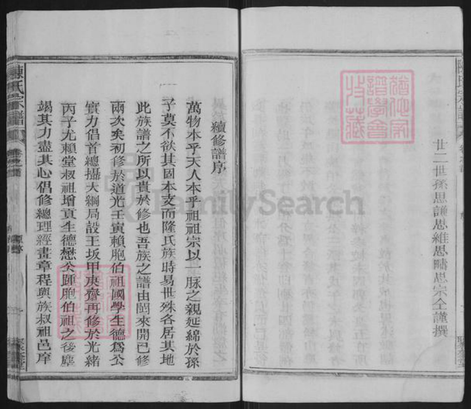 福建省泉州市永春县蓬壶镇陈氏聚奎堂族谱-陈氏宗谱.pdf电子版插图5