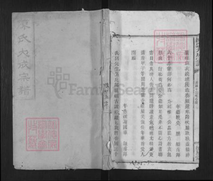 广东省梅州市平远县大柘镇陈氏德星堂族谱-陈氏大成宗谱.pdf电子版插图