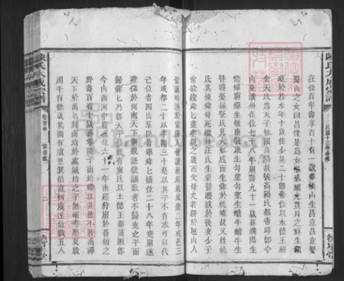 广东省梅州市平远县大柘镇陈氏德星堂族谱-陈氏大成宗谱.pdf电子版插图2