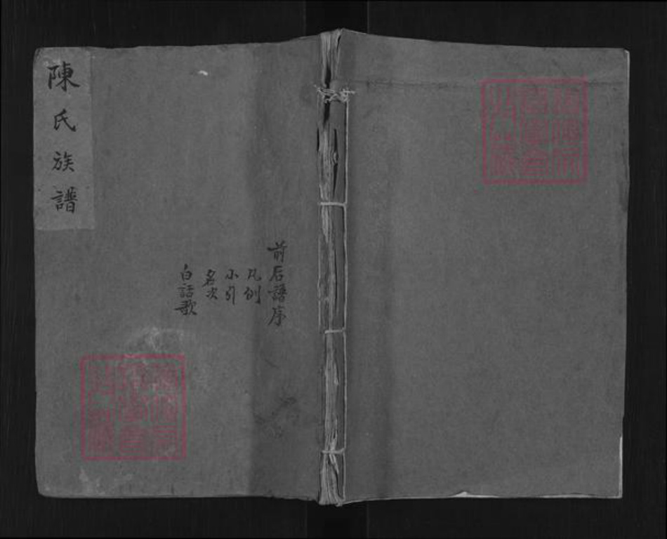 山东省泰安市东平县陈氏族谱-陈氏族谱.pdf电子版插图