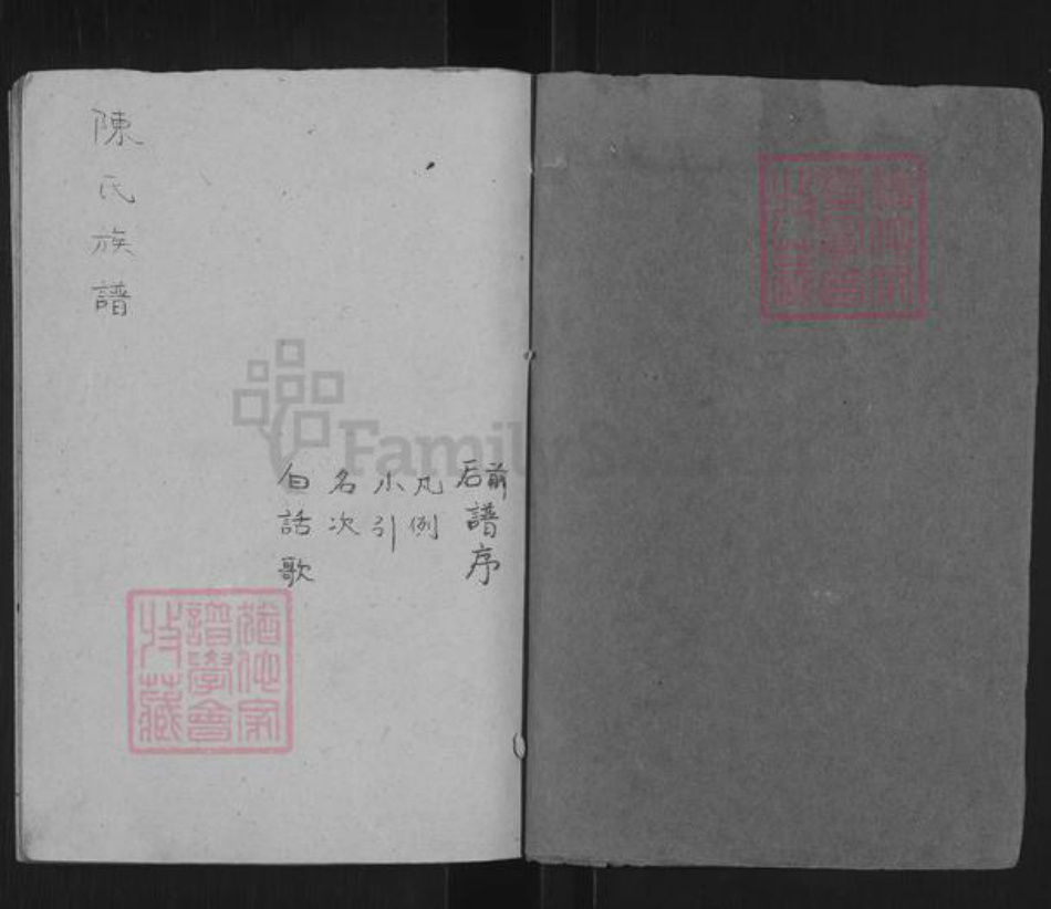 山东省泰安市东平县陈氏族谱-陈氏族谱.pdf电子版插图1