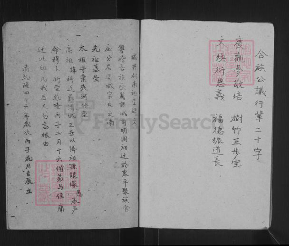 山东省泰安市东平县陈氏族谱-陈氏族谱.pdf电子版插图2