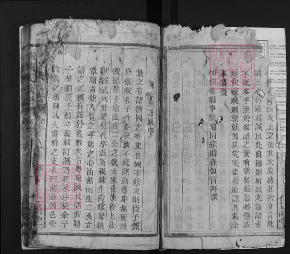 湖南省郴州市桂东县陈氏仁让堂族谱-桂东陈氏族谱.pdf电子版插图3