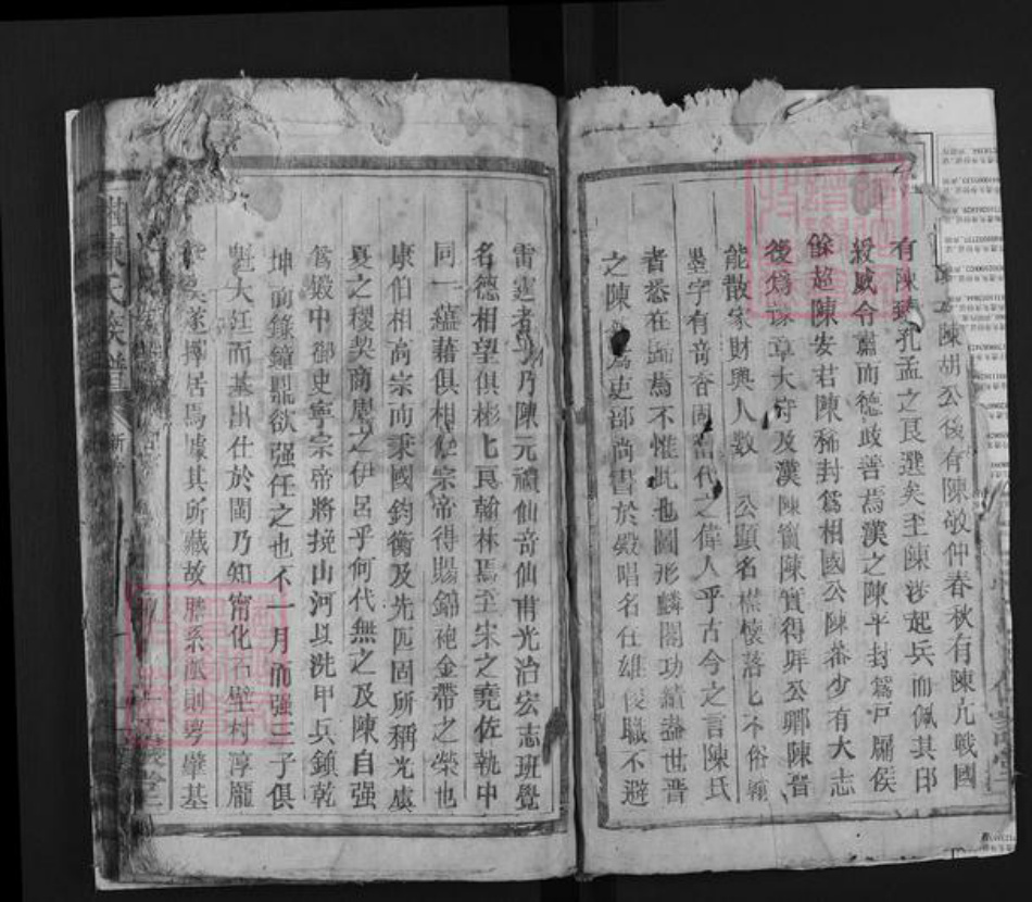 湖南省郴州市桂东县陈氏仁让堂族谱-桂东陈氏族谱.pdf电子版插图4