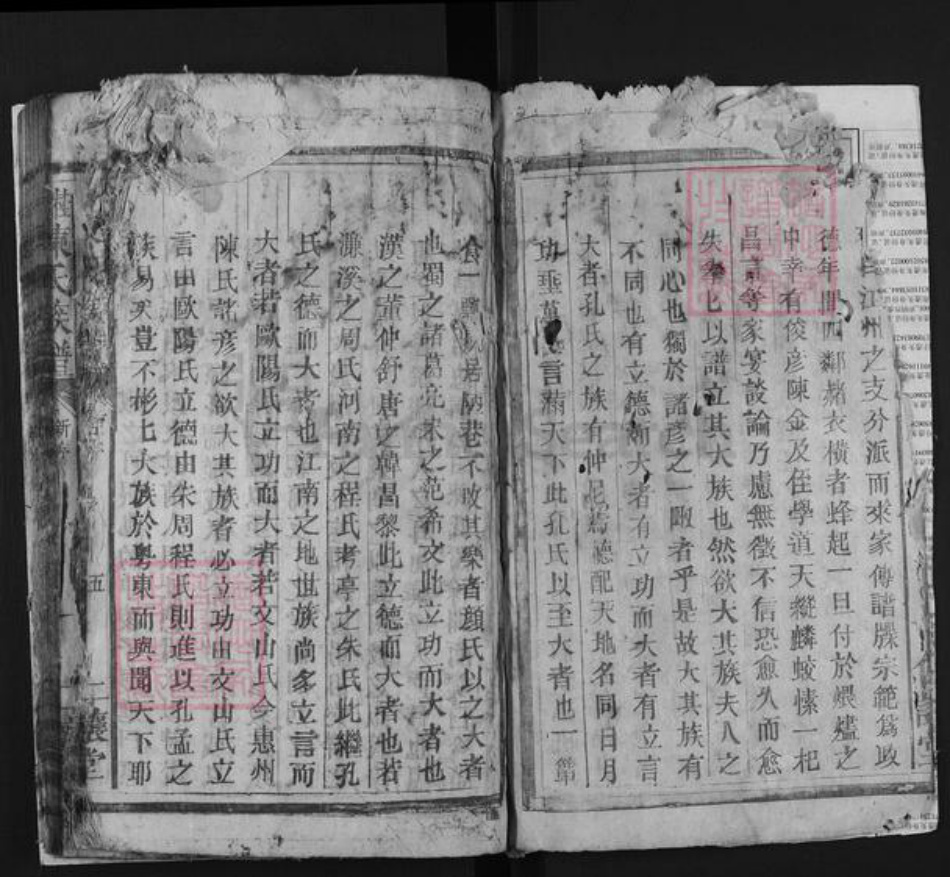 湖南省郴州市桂东县陈氏仁让堂族谱-桂东陈氏族谱.pdf电子版插图5