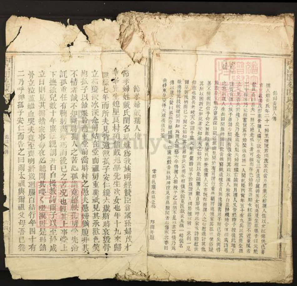 江西省吉安市泰和市陈氏族谱-西昌阆苑陈氏族谱.pdf电子版插图2