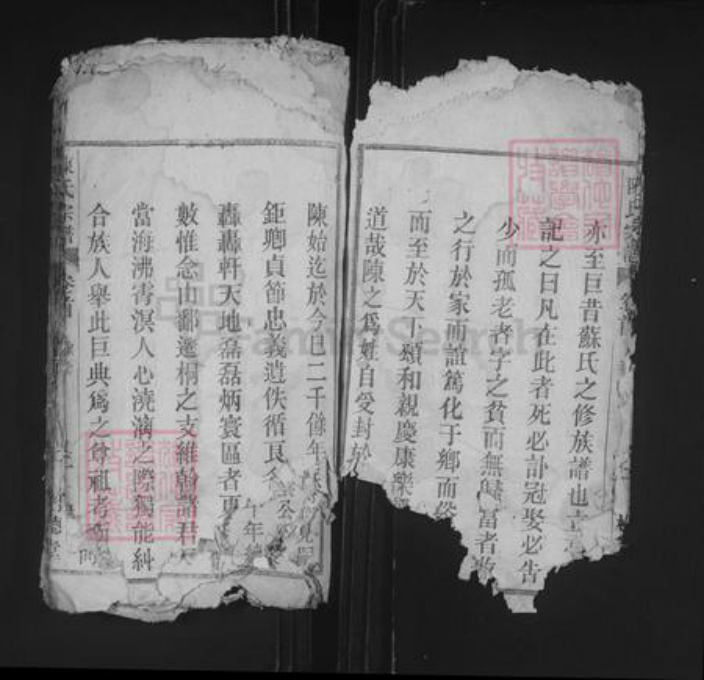 安徽省安庆市桐城市陈氏树德堂族谱-义门陈氏宗谱.pdf电子版插图3