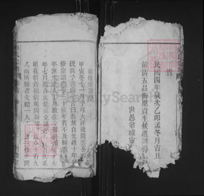 安徽省安庆市桐城市陈氏树德堂族谱-义门陈氏宗谱.pdf电子版插图5