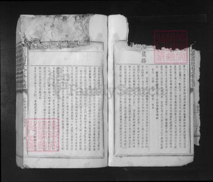 江西省抚州市陈氏族谱-抚乐钱团陈氏七修族谱.pdf电子版插图2