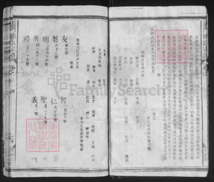 江西省九江市德安县磨溪乡陈氏族谱-石门庄陈氏宗谱.pdf电子版插图2