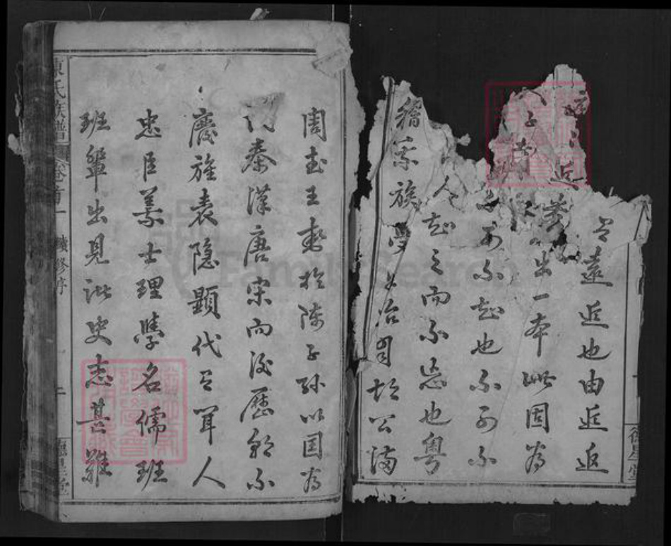 湖北省武汉市新洲区陈氏德星堂族谱-陈氏族谱.pdf电子版插图1