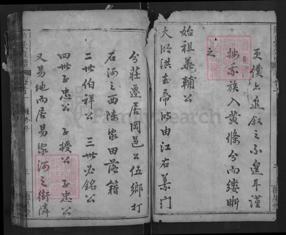 湖北省武汉市新洲区陈氏德星堂族谱-陈氏族谱.pdf电子版插图2