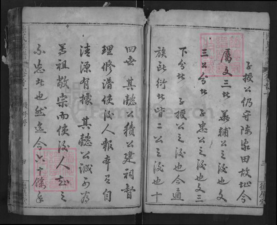 湖北省武汉市新洲区陈氏德星堂族谱-陈氏族谱.pdf电子版插图3