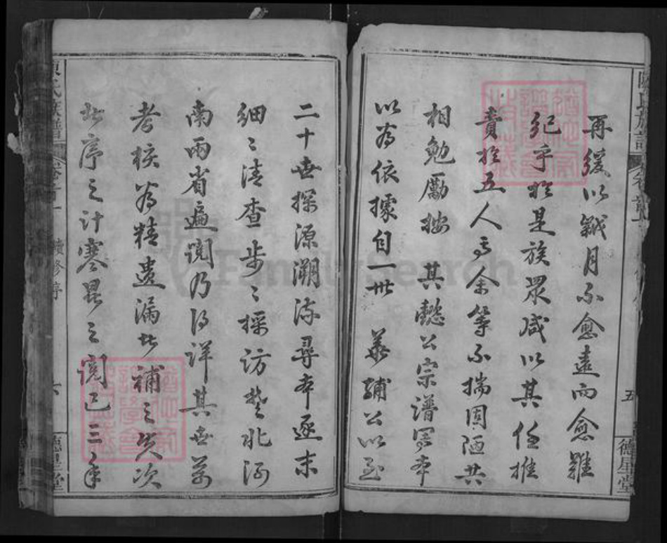 湖北省武汉市新洲区陈氏德星堂族谱-陈氏族谱.pdf电子版插图5