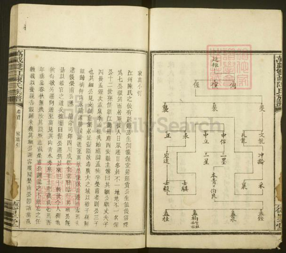 江西省宜春市万载县陈氏德星堂族谱-万载陈氏族谱.pdf电子版插图2