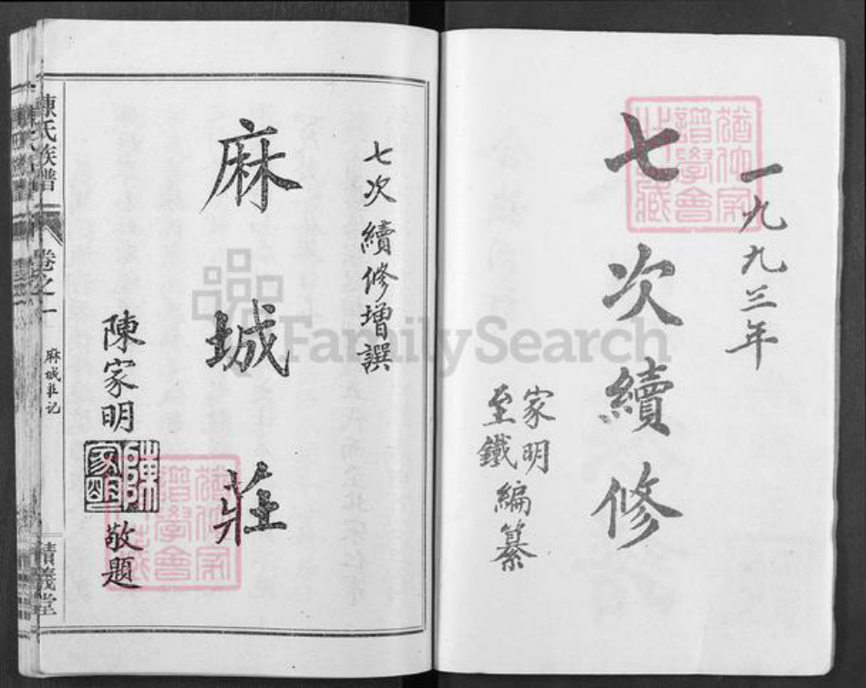湖北省荆门市东宝区仙居乡镇陈氏积义堂族谱-陈氏族谱.pdf电子版插图2