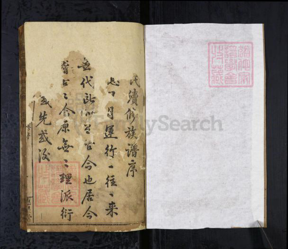 湖北省黄冈市陈氏族谱-陈氏宗谱[8卷首2卷].pdf电子版插图1