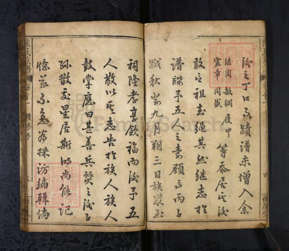湖北省黄冈市陈氏族谱-陈氏宗谱[8卷首2卷].pdf电子版插图5
