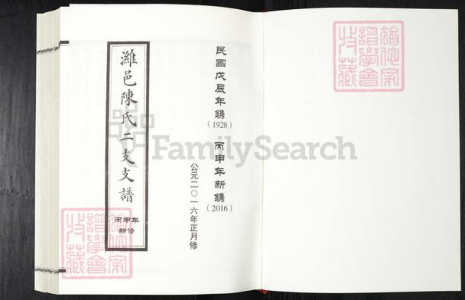 山东省潍坊市陈氏族谱-潍邑陈氏二支支谱.pdf电子版插图1