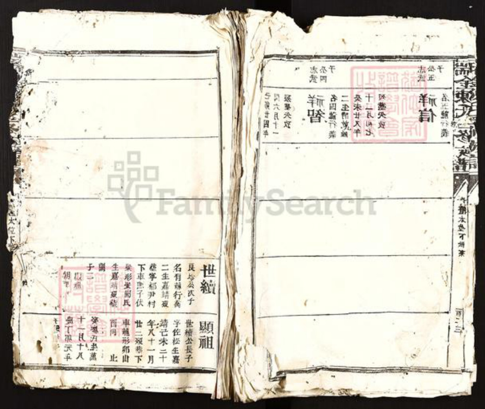 江西省赣州市瑞金市陈氏族谱-瑞金陈氏三修族谱.pdf电子版插图