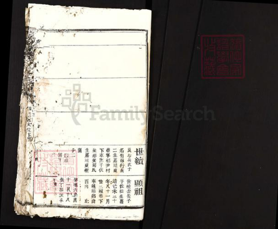 江西省赣州市瑞金市陈氏族谱-瑞金陈氏三修族谱.pdf电子版插图1