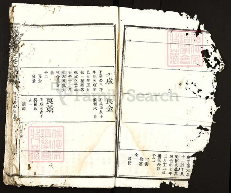 江西省赣州市瑞金市陈氏族谱-瑞金陈氏三修族谱.pdf电子版插图2