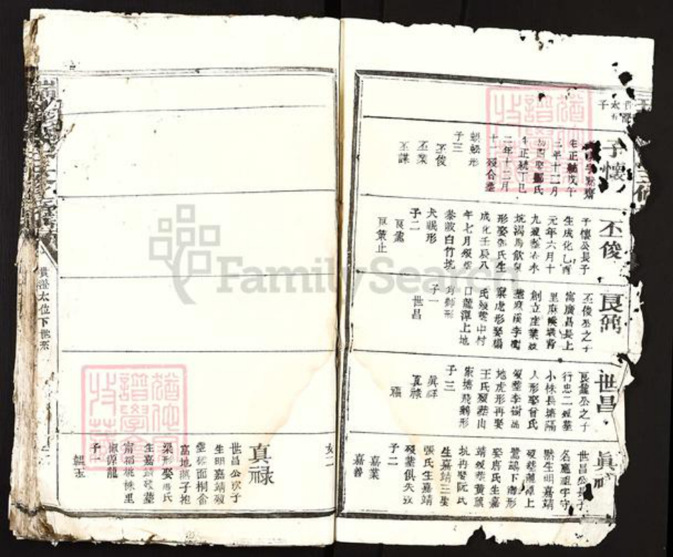江西省赣州市瑞金市陈氏族谱-瑞金陈氏三修族谱.pdf电子版插图3