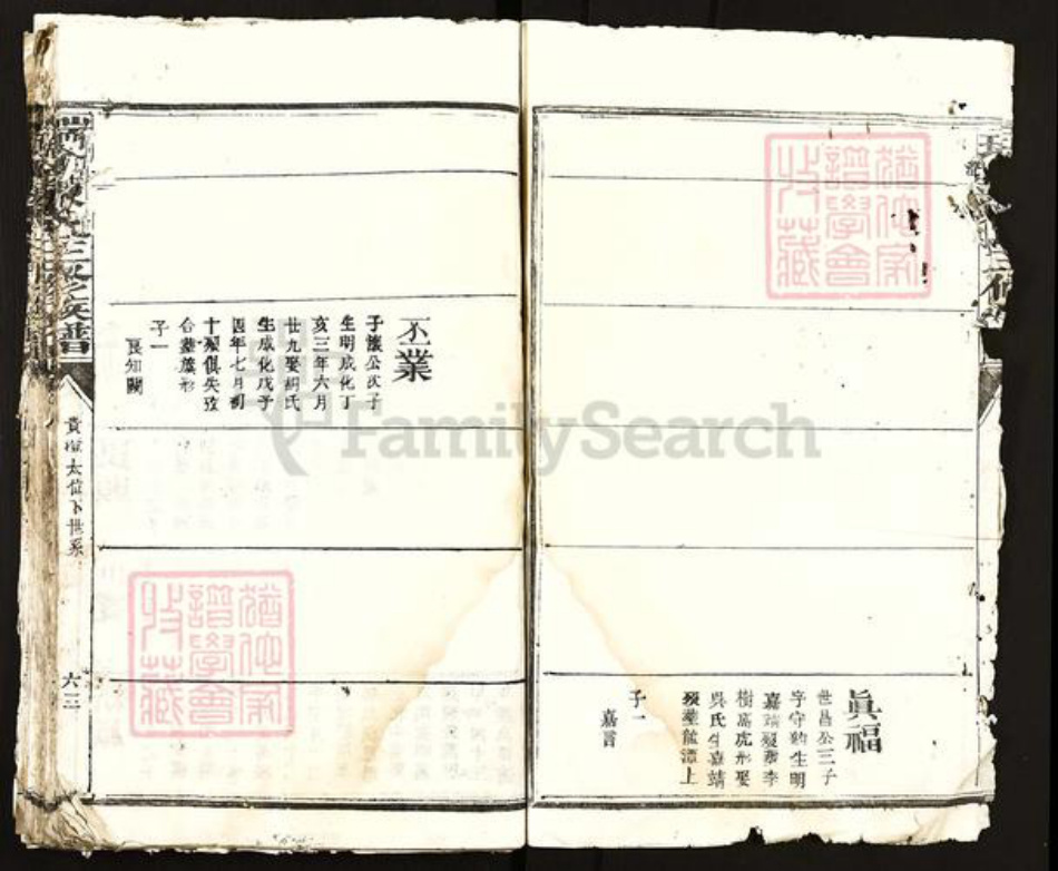 江西省赣州市瑞金市陈氏族谱-瑞金陈氏三修族谱.pdf电子版插图4