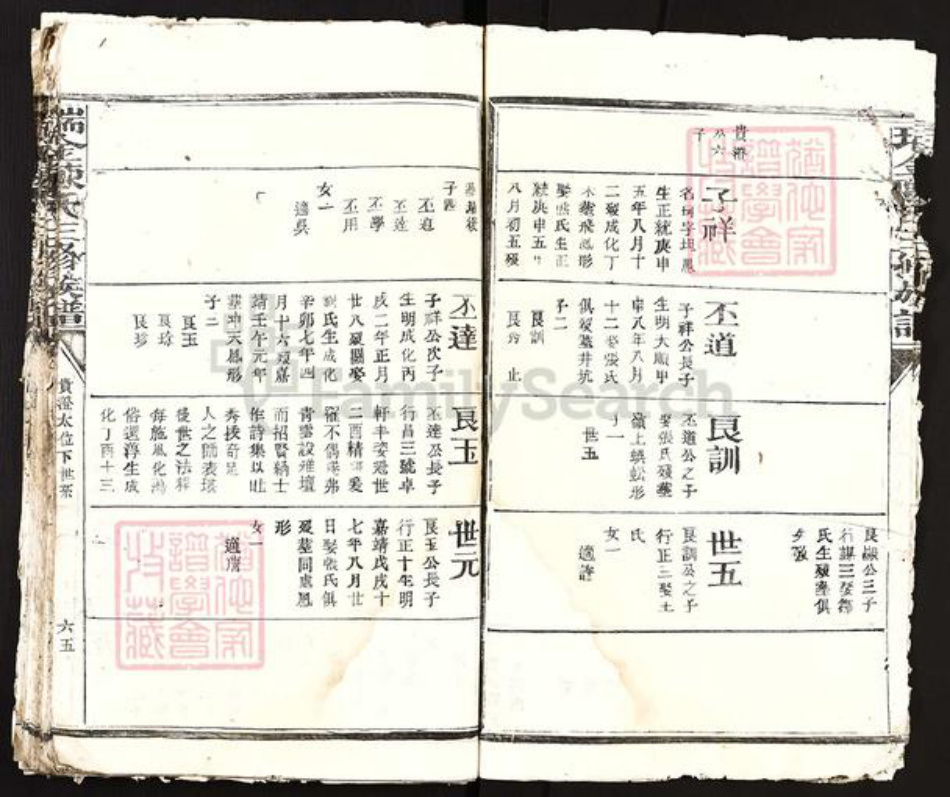江西省赣州市瑞金市陈氏族谱-瑞金陈氏三修族谱.pdf电子版插图5