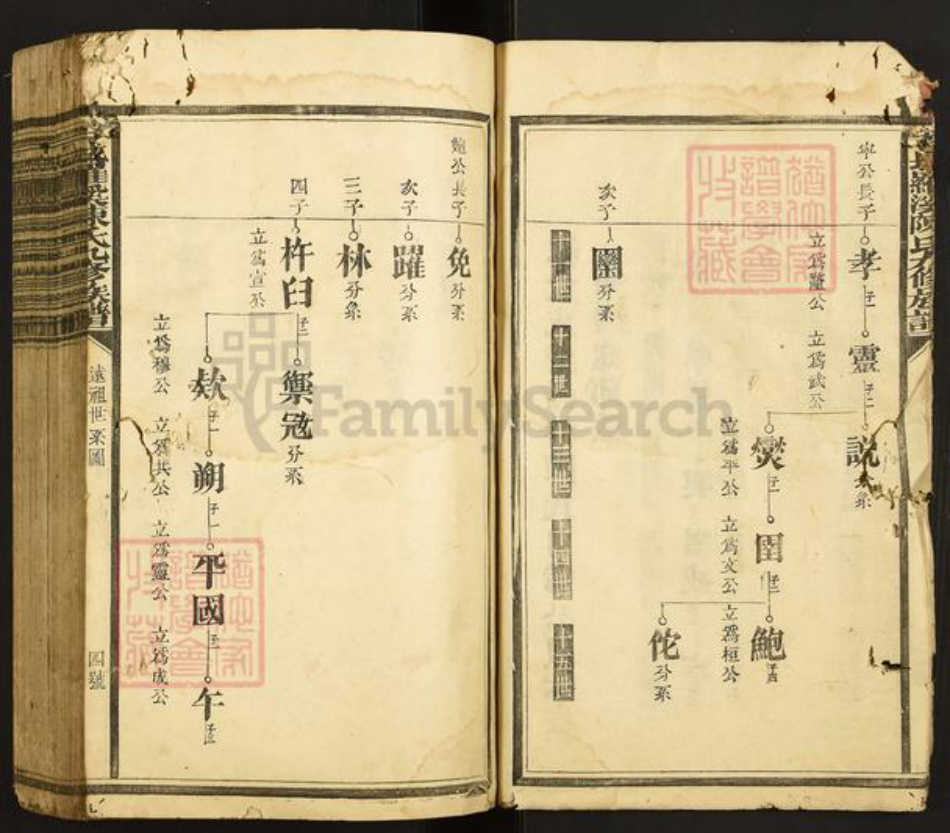 江西省赣州市石城县小松镇陈氏族谱-石城罗溪陈氏九修族谱.pdf电子版插图4