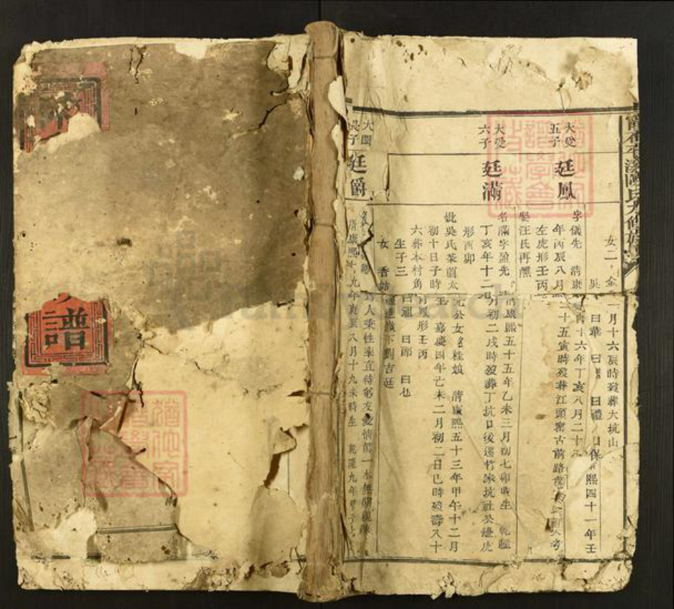 江西省赣州市石城县陈氏族谱-宁石平溪陈氏九修族谱.pdf电子版插图