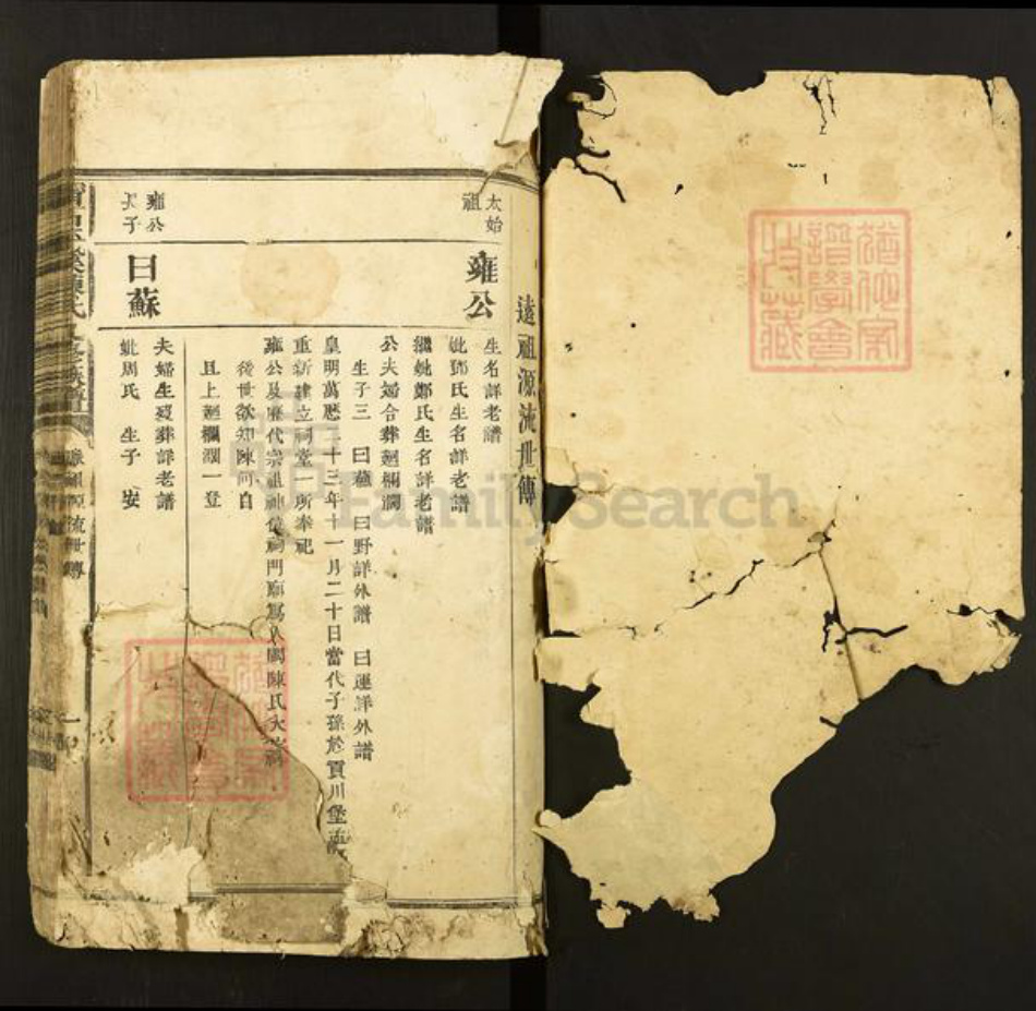 江西省赣州市石城县陈氏族谱-宁石平溪陈氏九修族谱.pdf电子版插图1